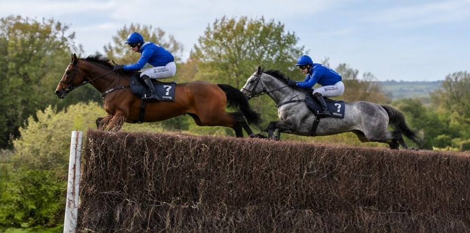 Illustrative racing scene for Arkle Novices' Chase — over fences