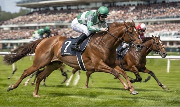 Illustrative racing scene for King Charles III Stakes — on the flat