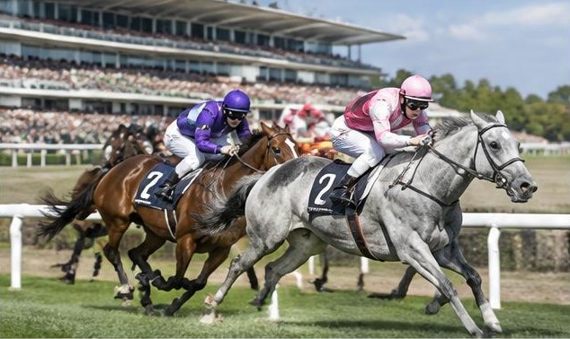 Illustrative racing scene for Queen Mary Stakes — on the flat