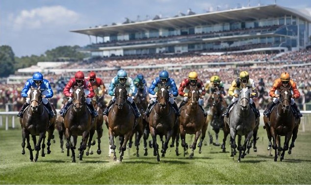Illustrative racing scene for Royal Hunt Cup — on the flat