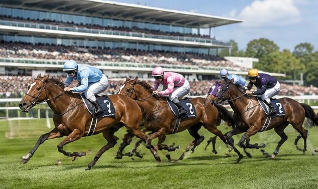 Illustrative racing scene for Ribblesdale Stakes — on the flat