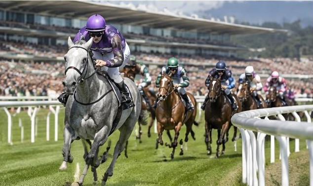 Illustrative racing scene for Coronation Stakes — on the flat