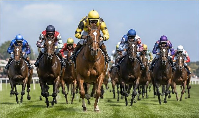 Illustrative racing scene for Commonwealth Cup — on the flat