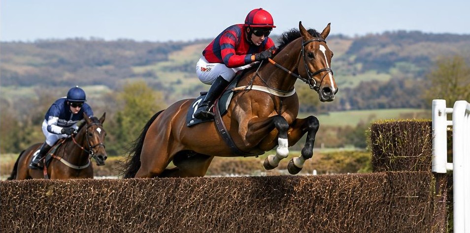 Illustrative racing scene for Brown Advisory Novices' Chase — over fences