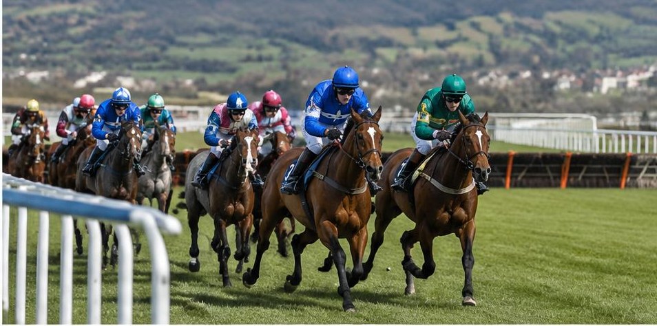 Illustrative racing scene for County Hurdle — over hurdles