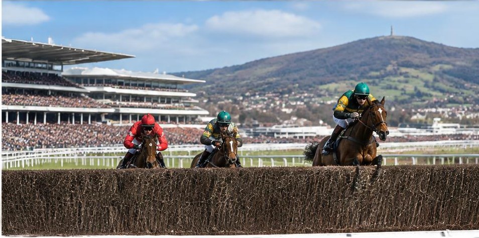 Illustrative racing scene for Cheltenham Gold Cup — over fences