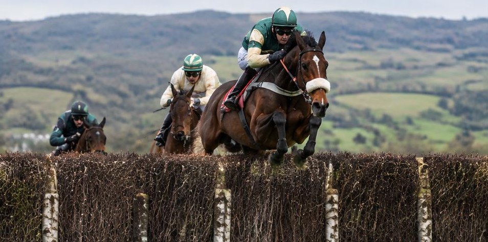 Illustrative racing scene for Golden Miller Novices' Chase — over fences