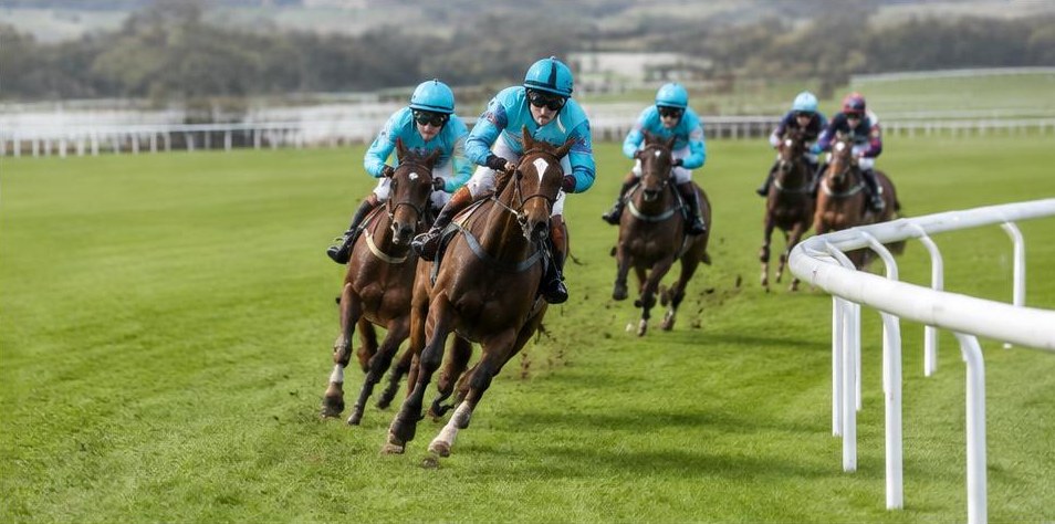 Illustrative racing scene for Juvenile Handicap Hurdle — over hurdles