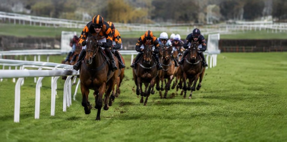 Illustrative racing scene for Kim Muir Chase — over fences