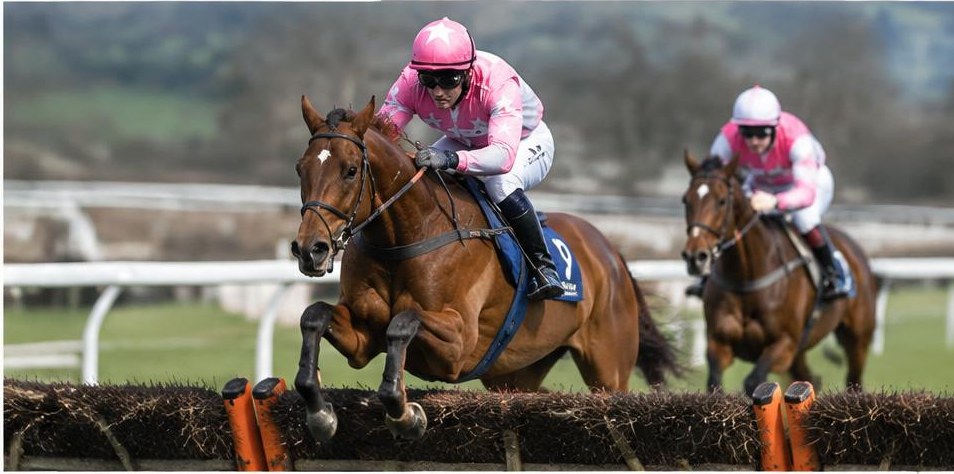 Illustrative racing scene for Mares' Novices' Hurdle — over hurdles