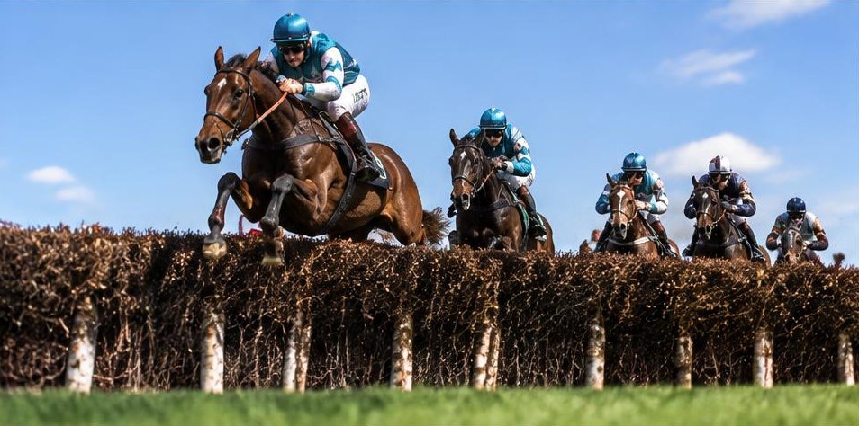 Illustrative racing scene for Festival Plate — over fences