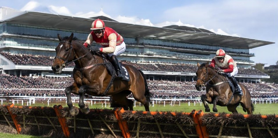 Illustrative racing scene for Supreme Novices' Hurdle — over hurdles