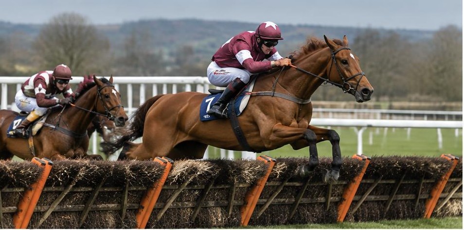 Illustrative racing scene for Triumph Hurdle — over hurdles