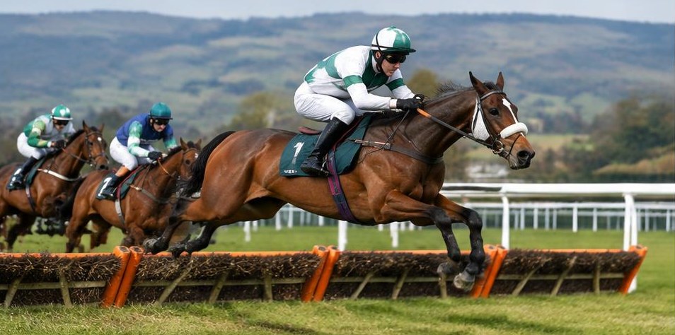 Illustrative racing scene for Turners Novices' Hurdle — over hurdles